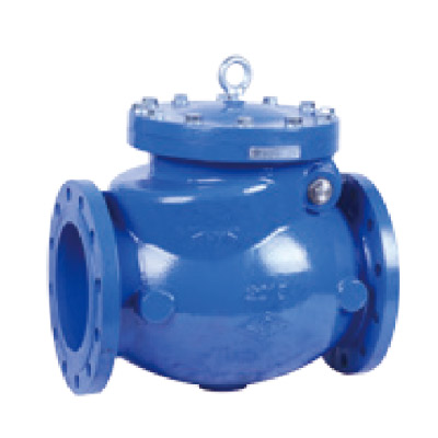 Check Valve